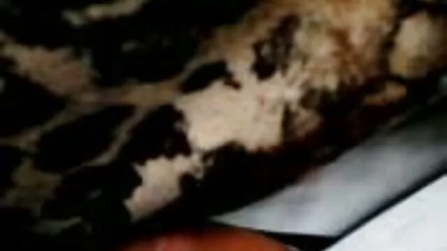 Nóng khiêu dâm, không giấy đăng ký  Video riêng tư nghiệp dư quay video clip sec thu của anh ấy với busty cô gái