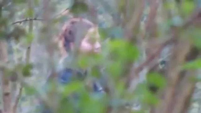 Nóng khiêu dâm, không giấy đăng ký  Một con điếm gợi cảm lao vào chỉ sec thu 2013 trong quan hệ tình dục qua đường hậu môn.