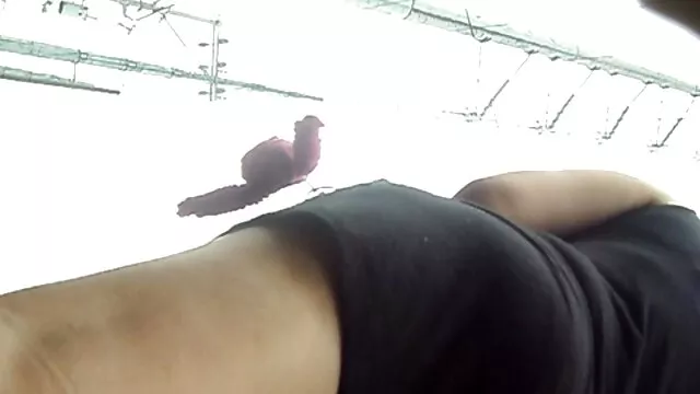 Nóng khiêu dâm, không giấy đăng ký  Mẹ kiếp phím séc thu vợ trong nhà bếp